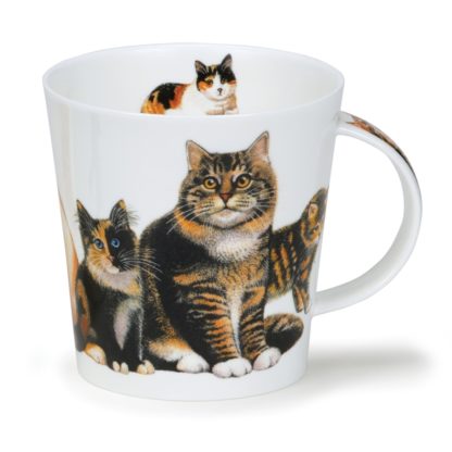 Cairngorm, Cats & Kittens Tabby