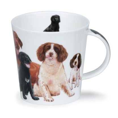 Cairngorm, Dogs & Puppies Spaniel