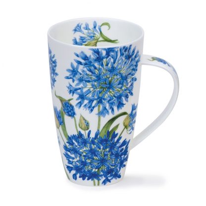 Dunoon - Henley, Agapanthus